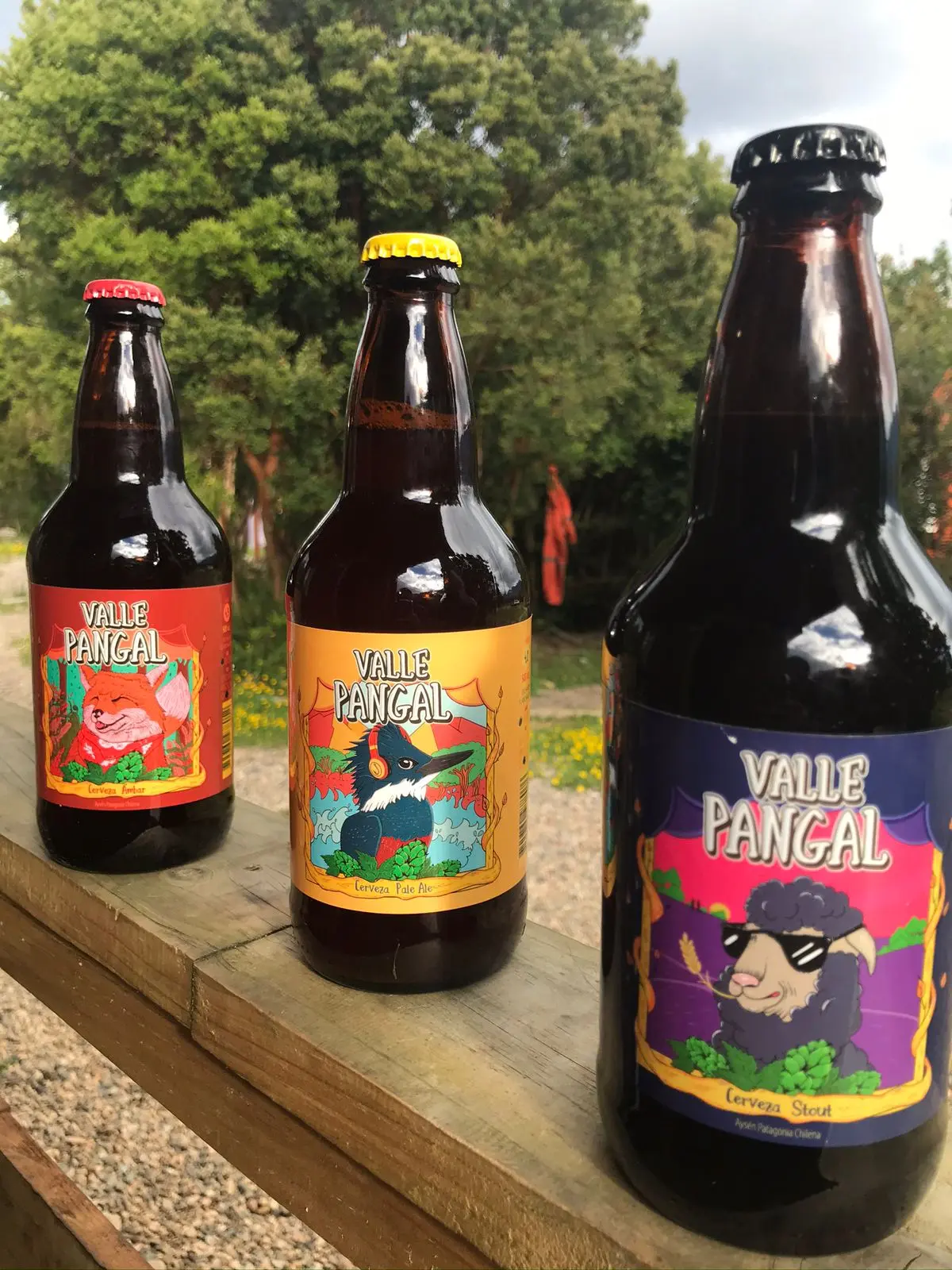 Tres botellas de Cerveza Valle Pangal en Puerto Aysén